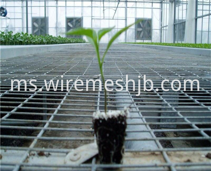 Greenhouse Seedling Bed Mesh